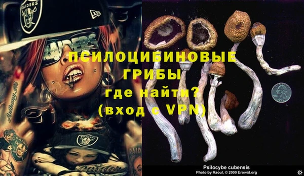 бутират Богородицк