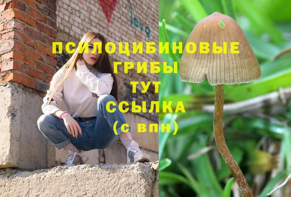 бутират Богородицк