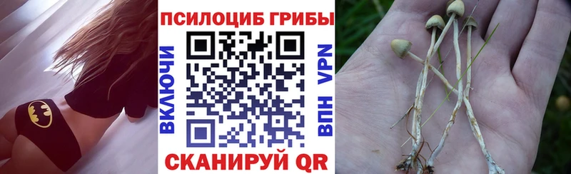 Купить закладки  Хилок  Псилоцибиновые грибы GOLDEN TEACHER 